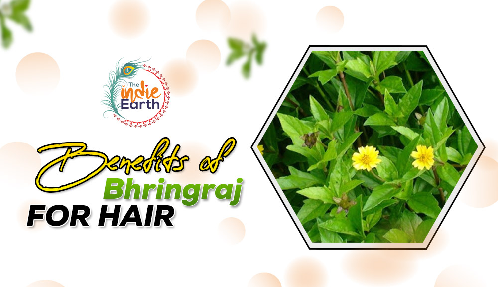 How to Use Bhringraj for Thicker and Denser Hair  hair buddha