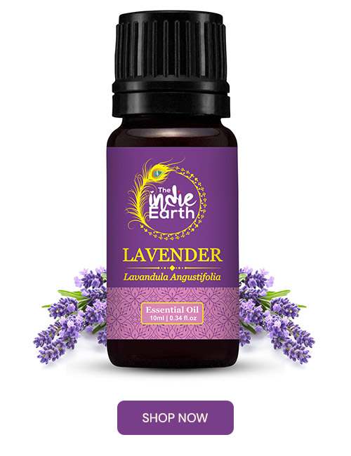 Lavender-Essential-Oil