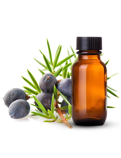juniper-berry-essential-oil