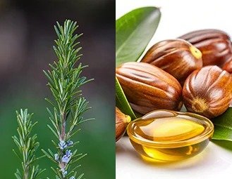 Rosemary & Jojoba Oils